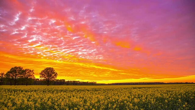 Intense red fiery sunset with illuminating clouds in sky, rural landscape