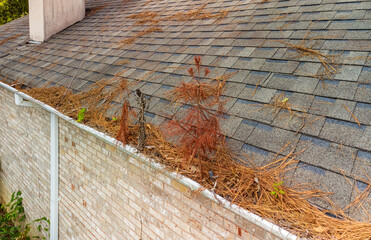 Gutter on home full of leaves and pine straw