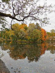 Autumn in the park. Trees with bright, already falling leaves are reflected in the pond water.