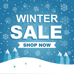 Winter Sale Shopping Discount Promotion
