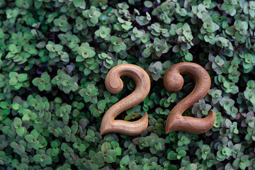 Number 22 on the green field for celerbrate merry christmas and Happy new year 2022 ,anniversary 22 or day 2 month 2.