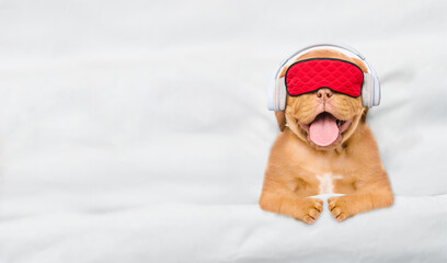 Mastiff puppy wearing  headphones and sleeping mask listening music on a bed at home. Top down view. Empty space for text