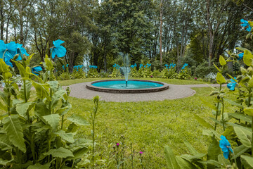 Detail of a round water fountain in the botanical garden of Akureyri in Iceland with a blue flower...