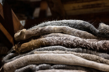 Salty skin of cattle, the skin is folded into even heaps.
