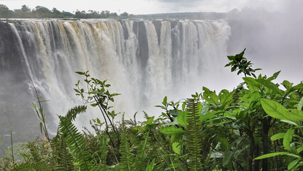 Powerful streams of Victoria Falls flow down from the edge of the plateau. There is a thick fog over the abyss. In the foreground is lush green vegetation. Zimbabwe