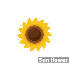 sunflower isolated illustration on white background. sunflower clipart. sunflower flat icon.