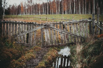 Old wooden gate in an animal pasture on an autumn day.