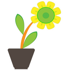 Obraz premium sunflower in flowerpot design concept