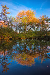 Spiegelung im Herbst