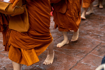 people walking in the street