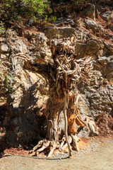 Wooden statue of dragon in Goynuk canyon, Turkey