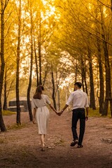 Fototapeta premium walk in the park