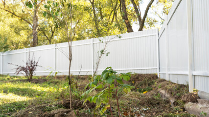 Outdoor garden fence building, new installed base frame with supports for a new metal fence in perspective against the background trees and green grass on summer day