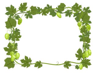 Rectangular Frame with Hops. A branch with dense leaves and cones. Sagging shoots with leaves. Wild nature. Flat style illustration with place for text. Isolated on white. Vector.