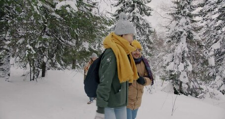 Slow motion of happy friends men and women walking in wild forest in winter talking looking around. Modern lifestyle and people concept.