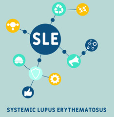 SLE - systemic lupus erythematosus acronym. medical concept background. vector illustration concept with keywords and icons. lettering illustration with icons for web banner, flyer, landing page