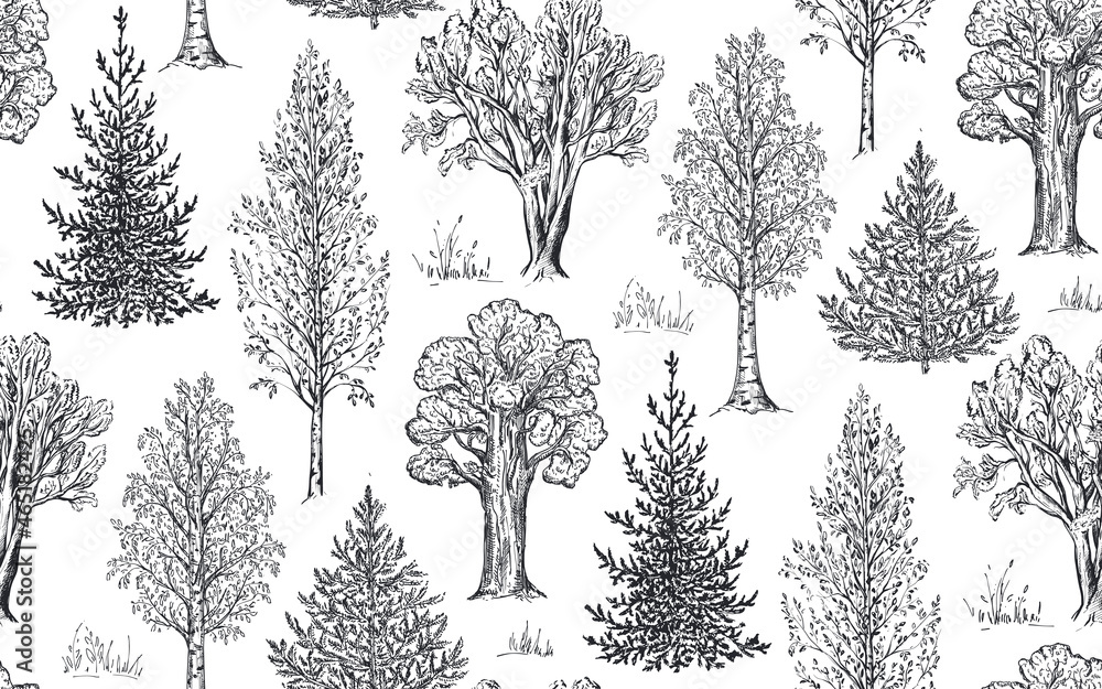Wall mural vector seamless pattern with hand drawn trees in sketch style