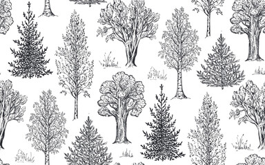 Vector seamless pattern with hand drawn trees in sketch style