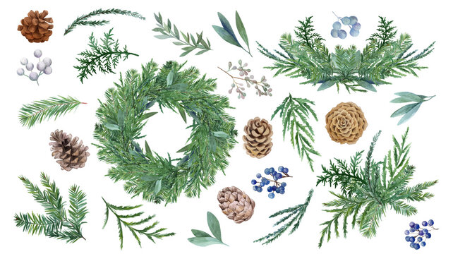 Set of spruce decorative elements with cones and berries