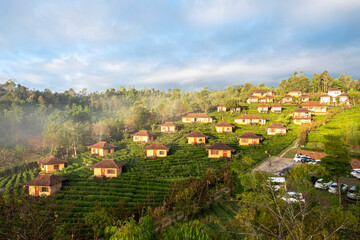 village in the mountains, Lee wine ruk thai at northern thailand  the winter season, vilage in tea farm