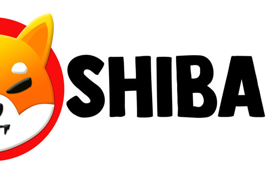 Shiba Inu Text With Half Face Logo On The Left