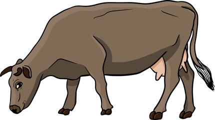 Cow isolated on white, hand drawn cattle, animal grazing vector illustration. Milk farm pets. Illustration for label, poster, print and design.