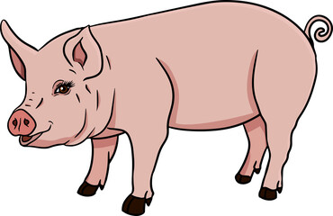 Pig. Vector illustration of piglet head isolated on white background. Clip art of farm animal in sketch realistic style. Illustration for label, poster, print and design.
