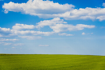 paysage d'un pré vert, d'un ciel bleu et de jolis nuages blancs. Un paysage de campagne en été....