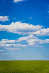 paysage d'un pré vert, d'un ciel bleu et de jolis nuages blancs. Un paysage de campagne en été. Un champ en été