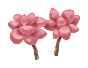 Magnolia Flower Cactus Composition