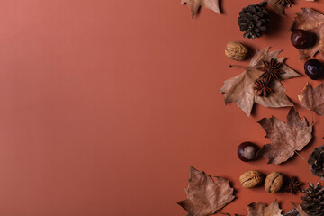 Autumn fall thanksgiving day composition with decorative dried leaves