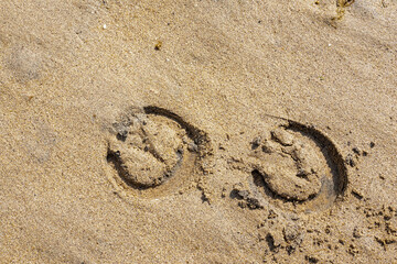 Horse shoe imprint on a warm sand. Equestrian abstract background.