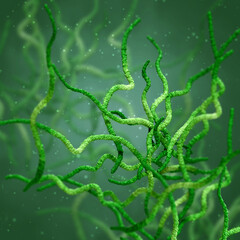 Medical background, bacteria spirilla spirally twisted and arcuate curved rods, class Beta-proteobacteria, aerobes or microaerophiles, 3D rendering