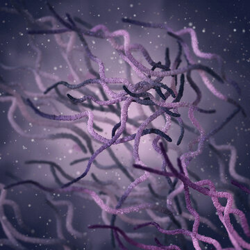 Medical background, bacteria spirilla spirally twisted and arcuate curved rods, class Beta-proteobacteria, aerobes or microaerophiles, 3D rendering