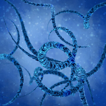 Medical background, bacteria spirilla spirally twisted and arcuate curved rods, class Beta-proteobacteria, aerobes or microaerophiles, 3D rendering