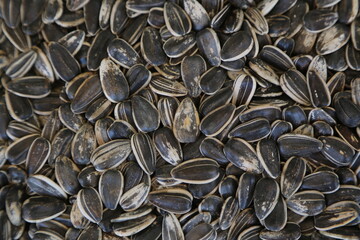 sunflower seeds background