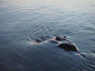 rock in water