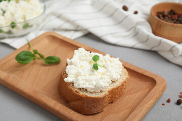 Obraz na płótnie Canvas Bread with cottage cheese and basil on grey table, closeup