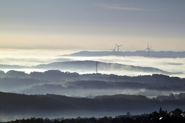 Herbstnebel im Nationalpark Hunsrück-Hochwald