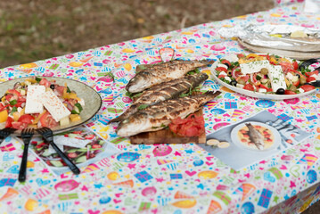 Catering in the outdoor summer park