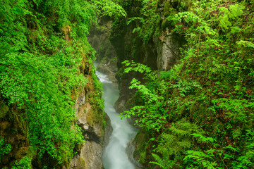 Idyllic shot of river flowing amidst rock formation