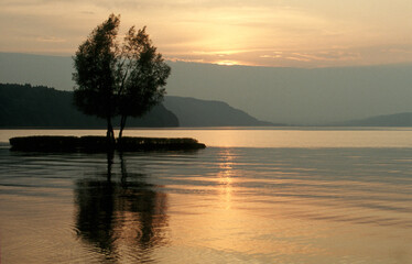 Fototapeta na wymiar Bäume am Wasser bei Sonnenuntergang