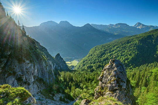 Growth of green trees on mountains against clear sky