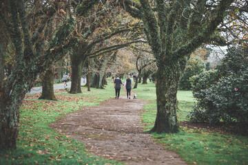 walking in the woods