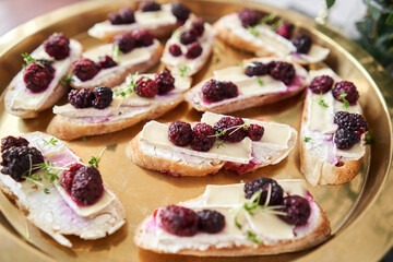Delicious canapes with camembert and blackberries. Tasty buffet table. Summer party. Catering concept