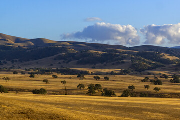 Fototapeta na wymiar San Benito County Landscape