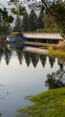 Obraz premium Beautiful scenery in the park