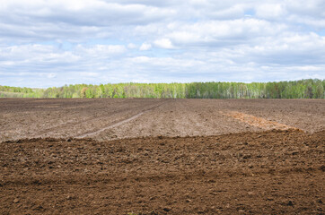 Preparation of the sowing area using soil harrowing