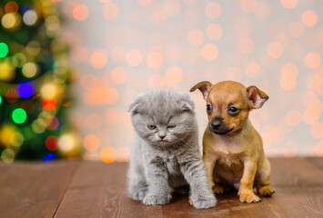 Couple of kitten and puppy sitting on the floor against the background of a christmas tree