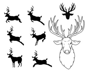 Reindeer silhouette on white background.Set of reindeer illustration for christmas.Animal vector for sticker cut